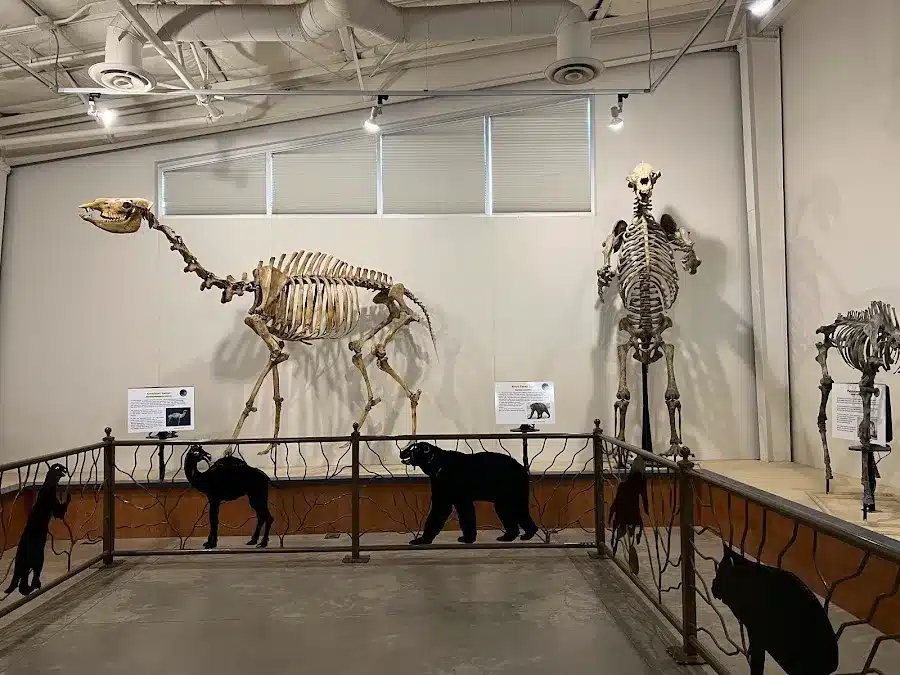 Fossil Discovery Center of Madera County