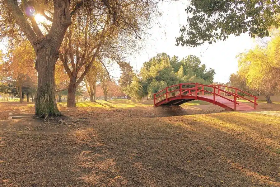 Lions Town and Country Park