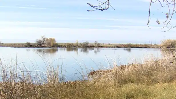 Mendota Wildlife Area