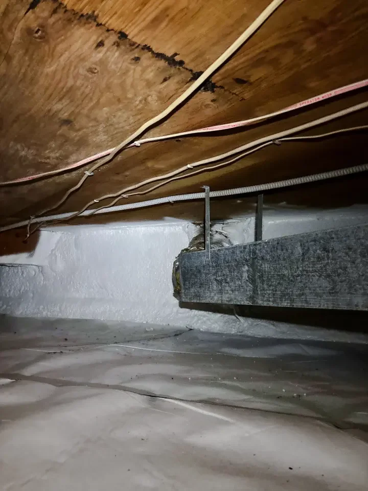 How Access Affects Moisture Control and Air Sealing Solutions Why Does Crawl Space Access Matter When Installing Spray Foam Insulation?